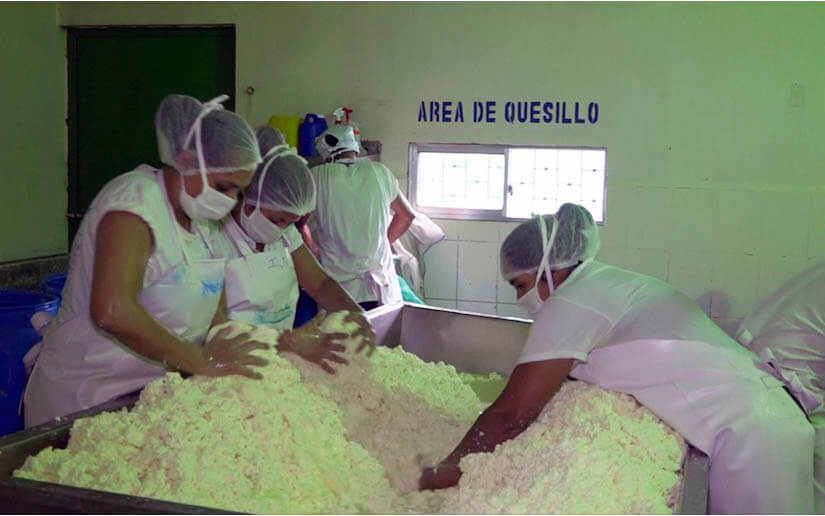 lácteos